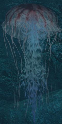 Tru jellyfish.JPG