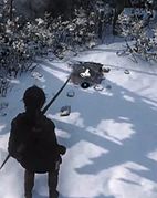 Coin Caches - WikiRaider