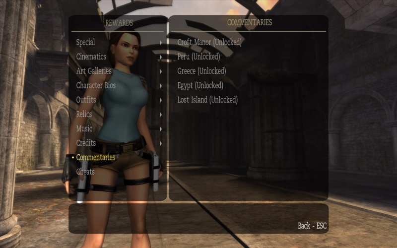File:Commentarymarkersstatus.jpg